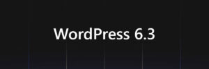 Les Novetats de WordPress 6.3 (Lionel)